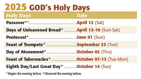 Holy Days  PacificCoG